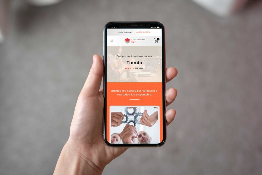 Diseño y Desarrollo Web
